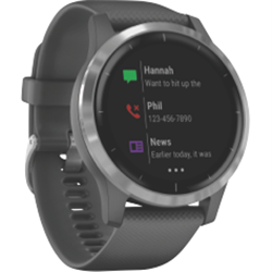 Garmin Vivoactive 4 Watch (Gray-Silver)