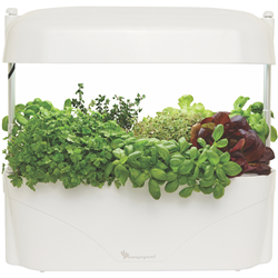 Vegepod Kitchen Garden White