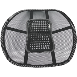 Crest Mesh Lumbar Back Support